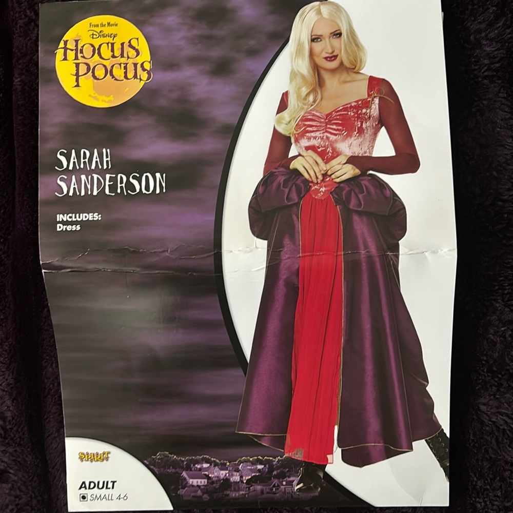 Hocus Pocus- Sarah Sanderson costume. Never used brand new! Small size 4-6